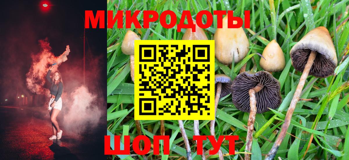 Псилоцибиновые грибы Psilocybe  Псилоцибиновые грибы GOLDEN TEACHER  Вход с VPN  Буйнакск 