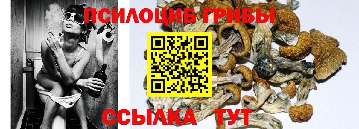 Галлюциногенные грибы ЛСД Буйнакск